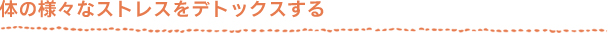 体の様々なストレスをデトックスする